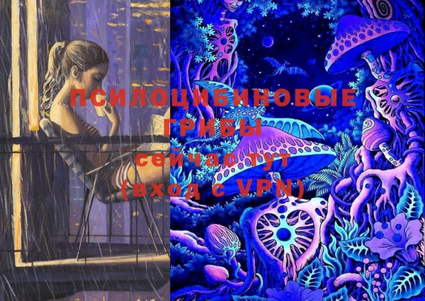 стаф Баксан
