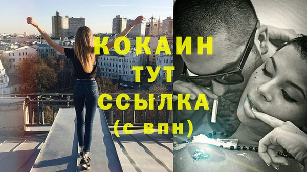 стаф Баксан
