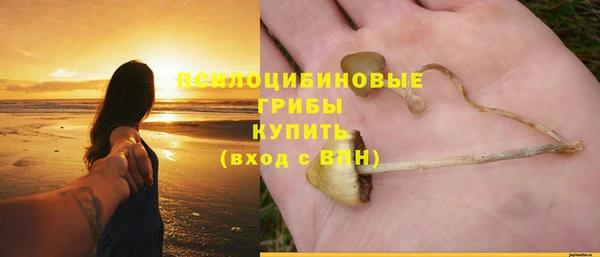 стаф Баксан
