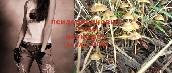 стаф Баксан