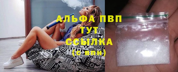 стаф Баксан